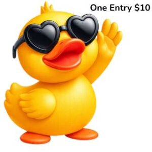 Single Duck (1)